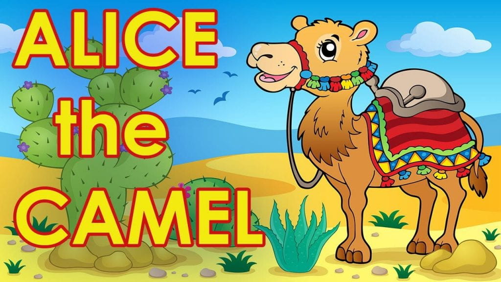 Alice The Camel